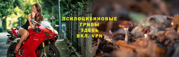 таблы Горняк