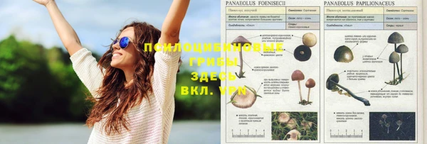 каннабис Горно-Алтайск