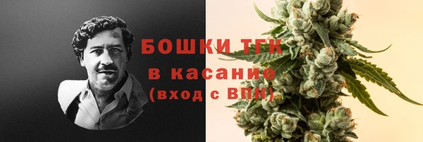 таблы Горняк