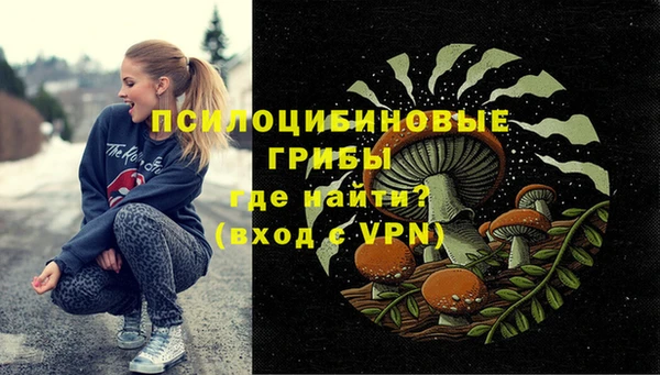 таблы Горняк